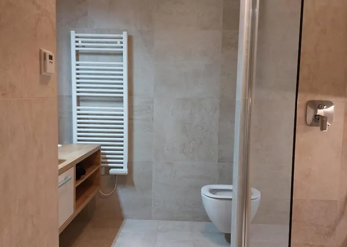 Apartmán Polanský Dvůr Velké Karlovice