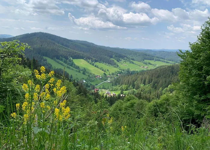 Polanský Dvůr Apartmán Velké Karlovice